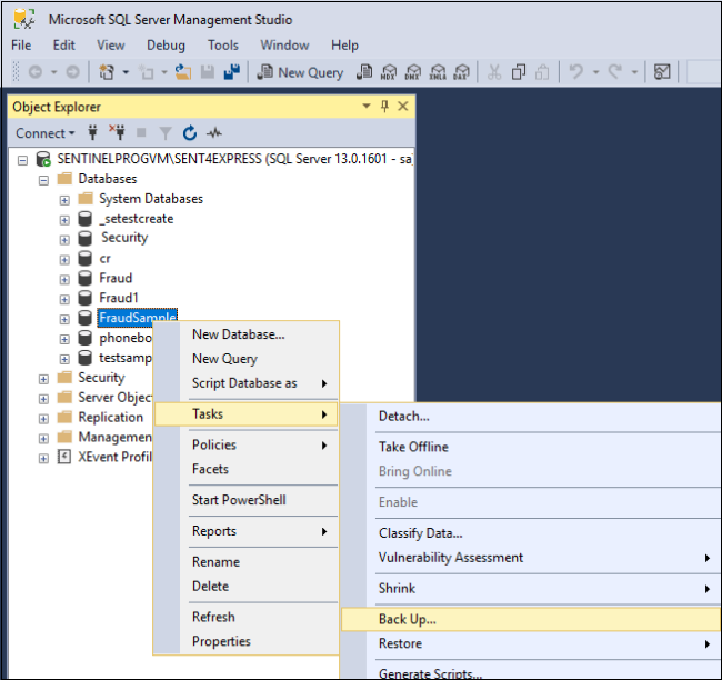 SQL Server Database Backup